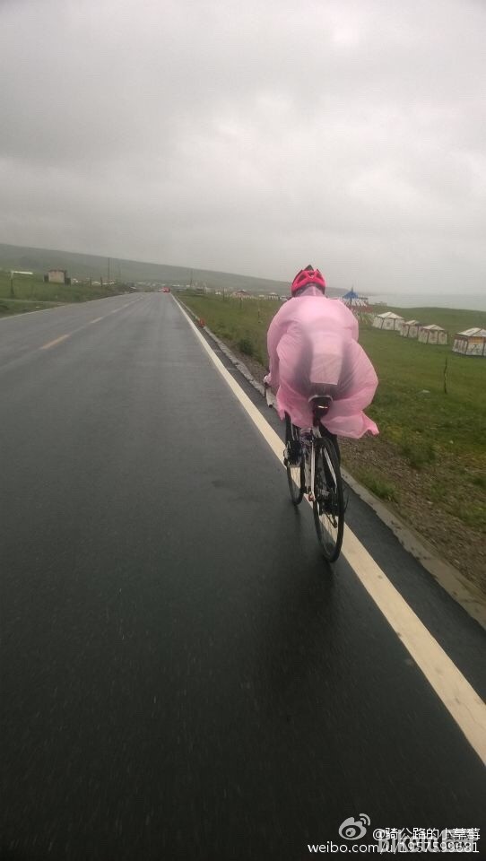 公路车女神小草莓