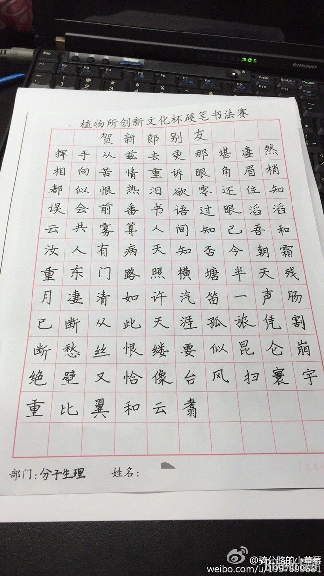 公路车女神小草莓