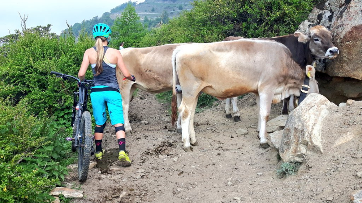 Enduro女神hannah barnes