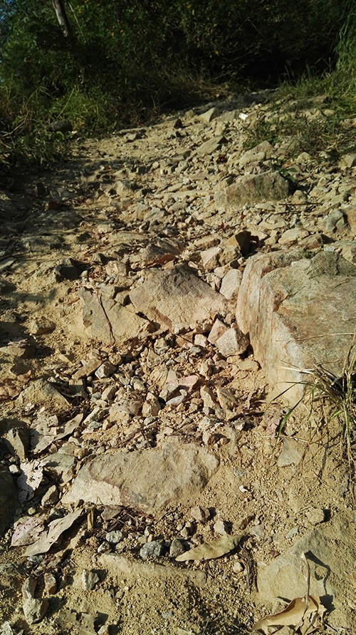 凤凰山